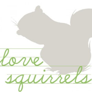 Love Squirrels