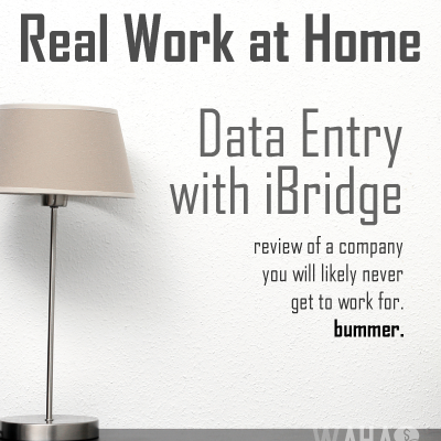 Online Data Entry for iBridge