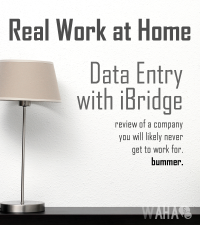 Online Data Entry for iBridge