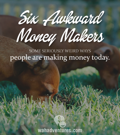 Really seriously weird and awkward ways to make money!