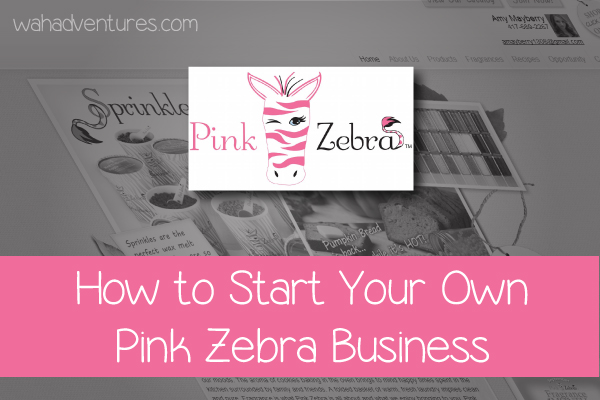 How To Make Money as a Pink Zebra Consultant